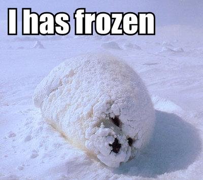 frozen_seal